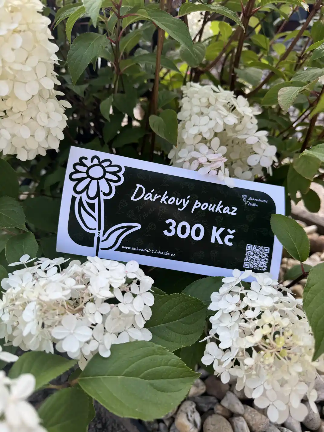 Dárkový poukaz Dárkový poukaz