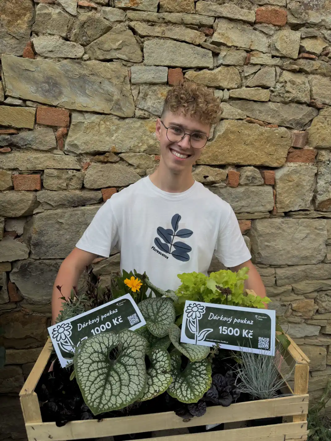 Haška držící bedýnku rostlin Haška držící bedýnku rostlin